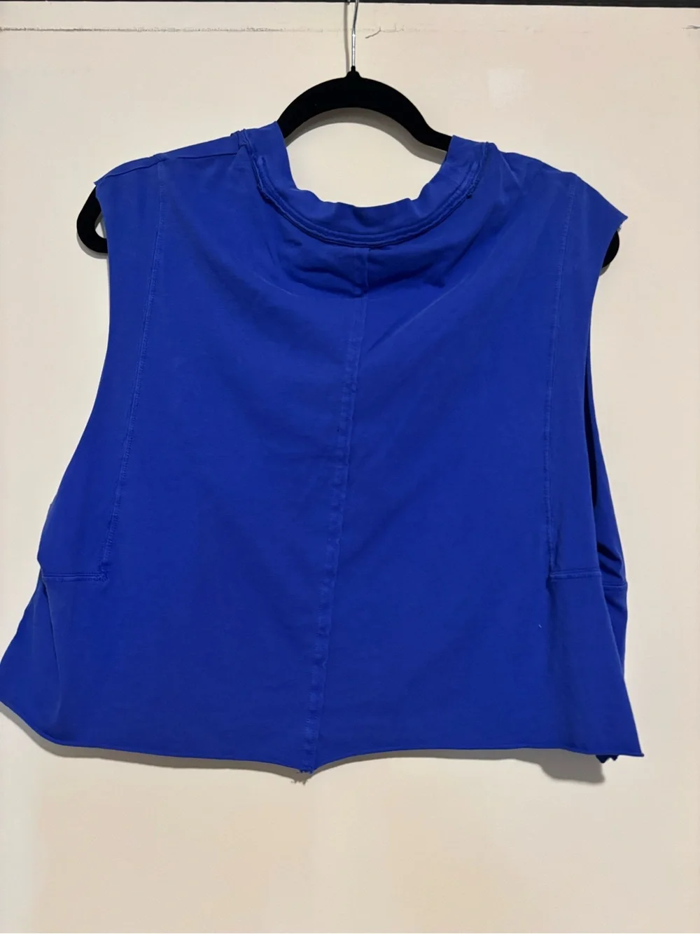 Free people Blue Sleeveless Crop Tank Top